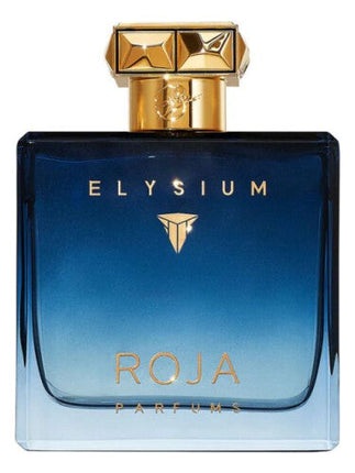 Collection image for: ROJA PARFUMS