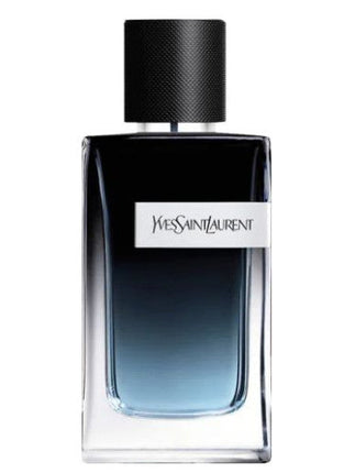 Collection image for: YVES SAINT LAURENT