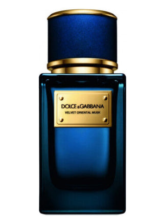 Collection image for: DOLCE & GABBANA