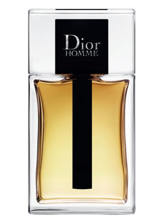 Dior Homme 50,100ML